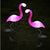 Limex 3528569 соларна лампа Фламинго  My Garden 3бр STL-7193-3