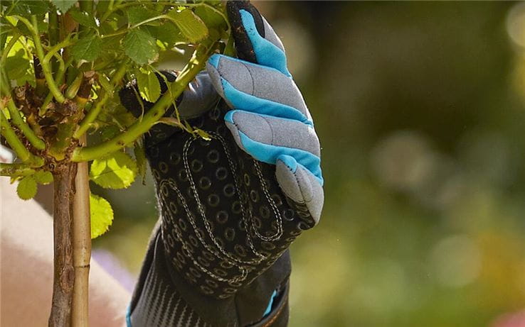 Гардена ръкавици за работа с бодливи растения/М/11530-20 970471401